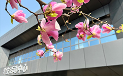 資陽口腔職業(yè)學院 - 我的大學