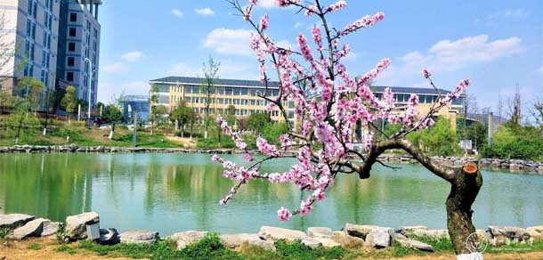 貴州醫(yī)科大學 - 最美院校