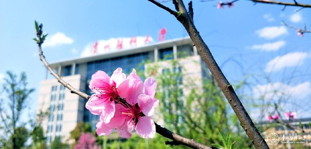 貴州醫(yī)科大學 - 最美大學