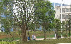 貴陽職業(yè)技術(shù)學院 - 我的大學