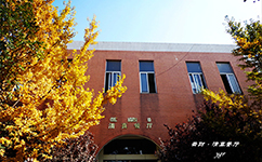 云南財經(jīng)大學 - 我的大學