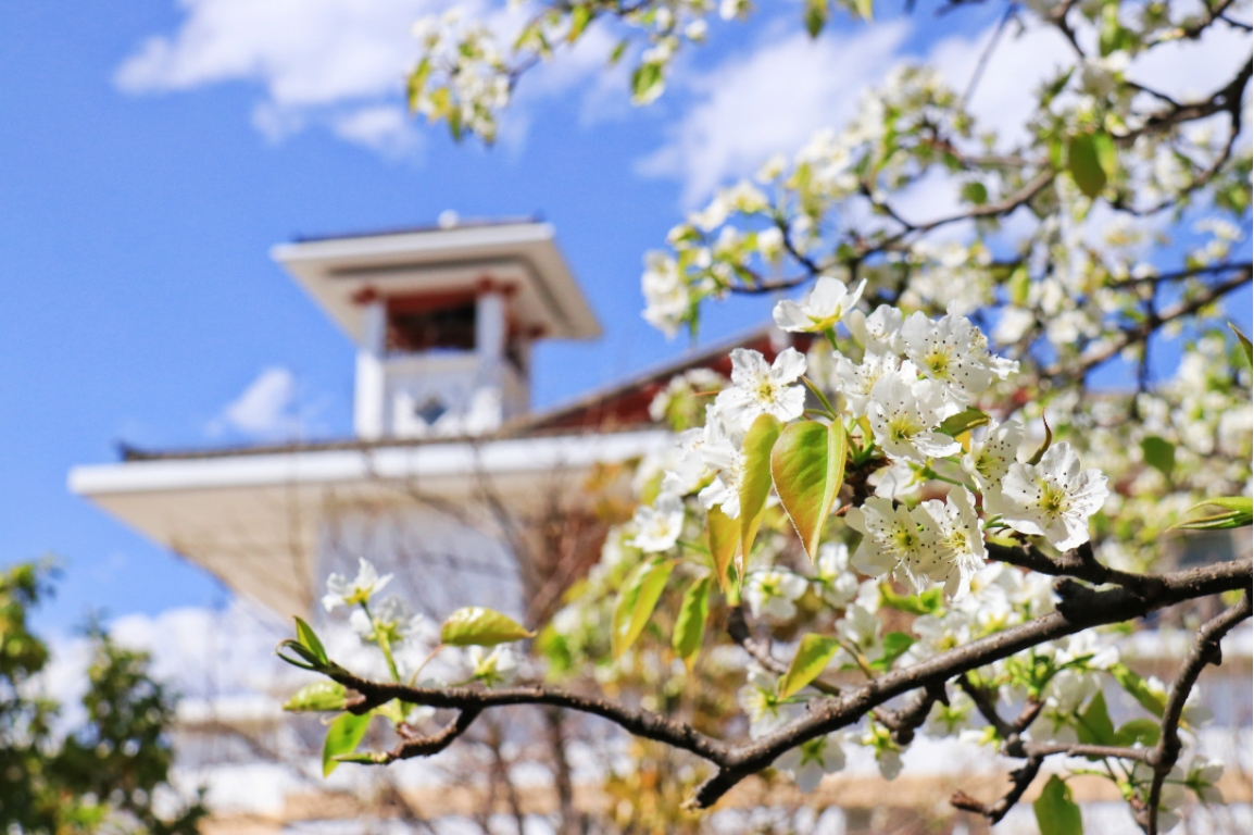 麗江文化旅游學(xué)院（原云南大學(xué)旅游文化學(xué)院）2022年專(zhuān)科招生簡(jiǎn)章
