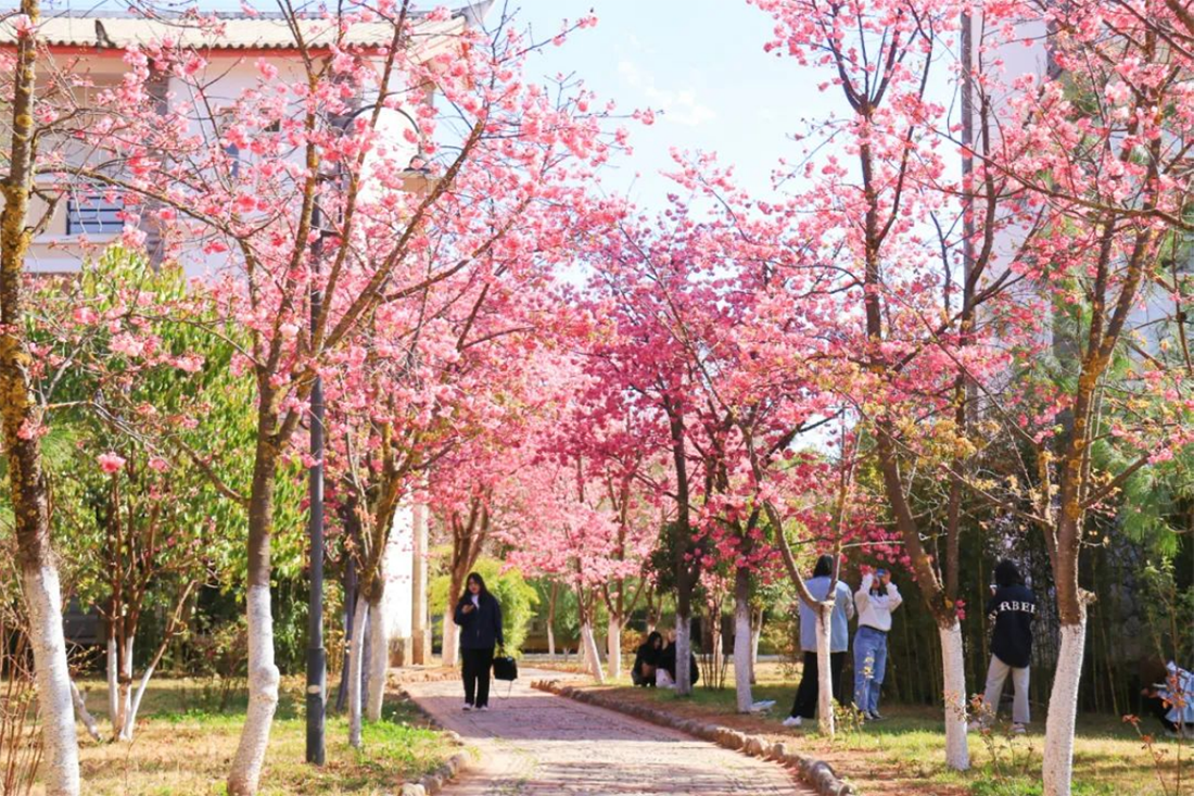 麗江文化旅游學(xué)院（原云南大學(xué)旅游文化學(xué)院）2022年專(zhuān)科招生簡(jiǎn)章