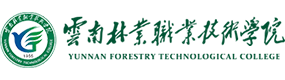 2021年-2025年高考招生資訊
