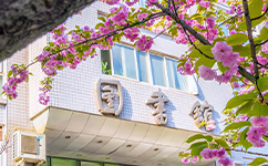 歷史沿革(概)校史