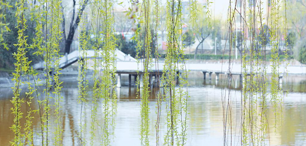 延安大學西安創(chuàng)新學院 - 最美大學