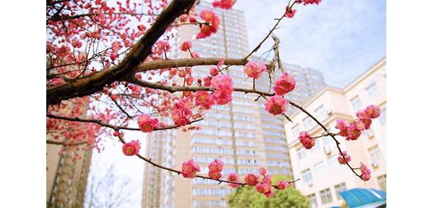 延安大學西安創(chuàng)新學院 - 最美大學