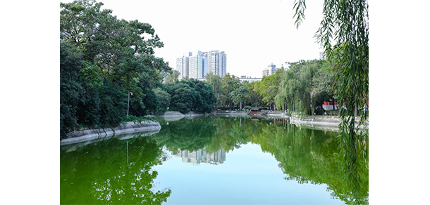 延安大學西安創(chuàng)新學院 - 最美大學