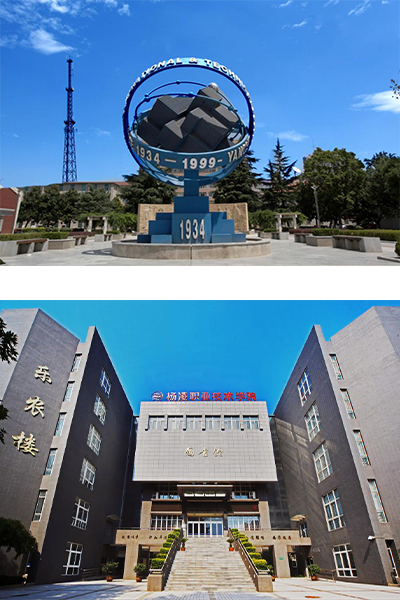 楊凌職業(yè)技術(shù)學院