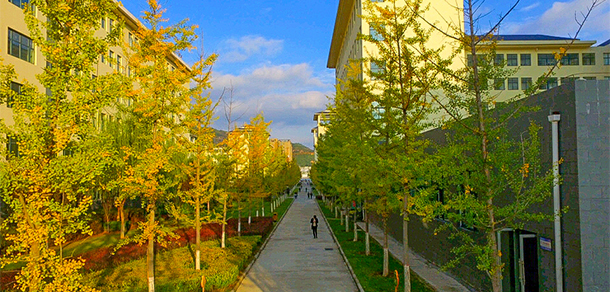 延安職業(yè)技術學院 - 最美大學