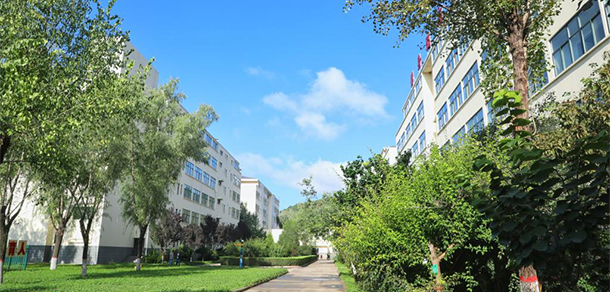 延安職業(yè)技術學院 - 最美大學