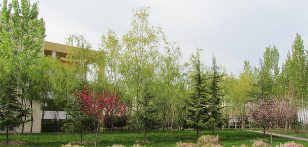 銅川職業(yè)技術(shù)學院 - 最美大學