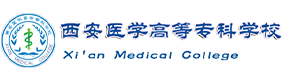 2021年-2025年高考招生資訊