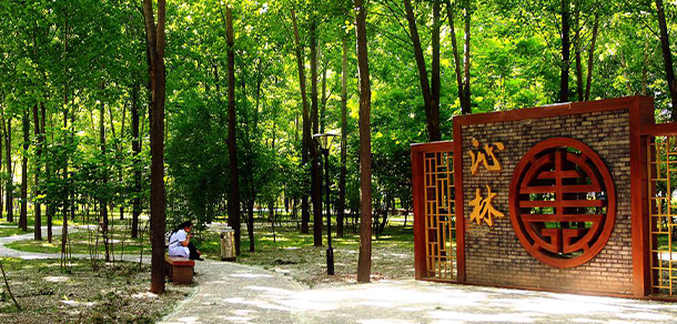 西安醫(yī)學(xué)高等?？茖W(xué)校 - 最美大學(xué)