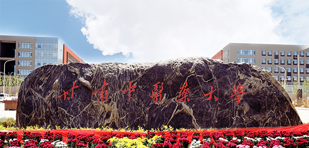 甘肅中醫(yī)藥大學 - 最美大學