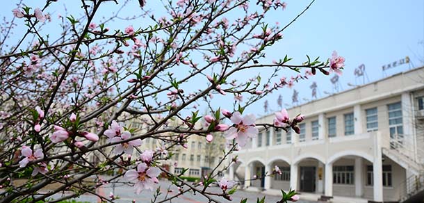 天津財經(jīng)大學珠江學院 - 最美院校
