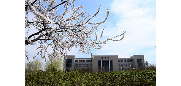 天津財經(jīng)大學珠江學院 - 最美大學