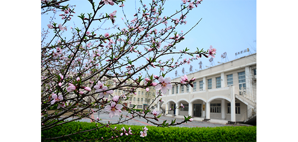 天津財經(jīng)大學珠江學院 - 最美大學