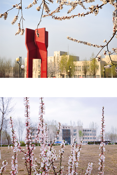 天津財經(jīng)大學珠江學院