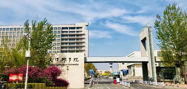 天津農學院 - 最美院校