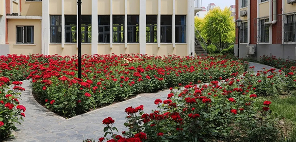 天津農學院 - 最美大學