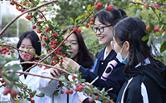 天津農學院 - 我的大學