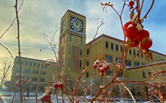 新疆師范大學 - 我的大學
