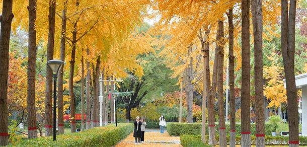 我的大學-大學志
