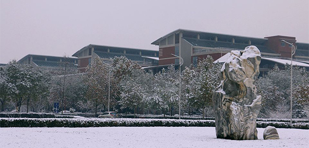我的大學-大學志