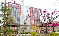 河北交通職業(yè)技術(shù)學院 - 我的大學