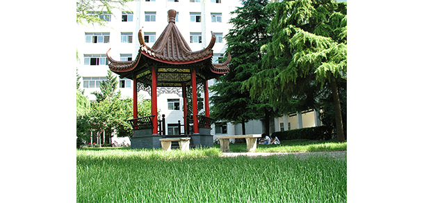 唐山科技職業(yè)技術(shù)學院 - 最美大學