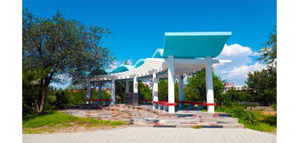 我的大學(xué)-大學(xué)志