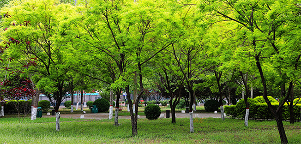 河北正定師范高等專科學(xué)校 - 最美大學(xué)