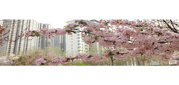 河北正定師范高等?？茖W(xué)校 - 最美大學(xué)