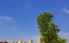 歷史沿革（概）校史