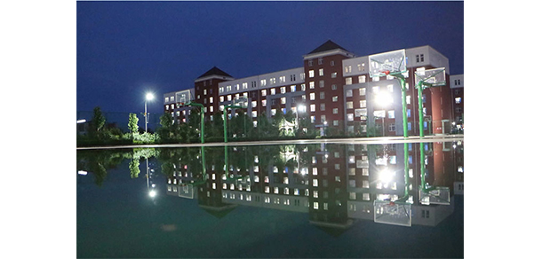 我的大學(xué)-大學(xué)志