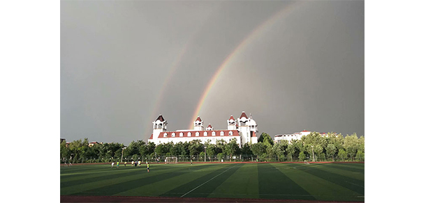 我的大學(xué)-大學(xué)志