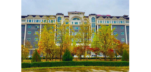 我的大學(xué)-大學(xué)志