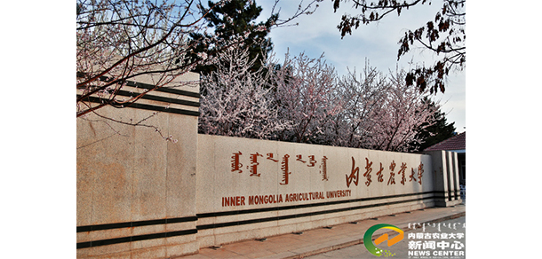 內(nèi)蒙古農(nóng)業(yè)大學 - 最美大學