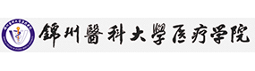 2021年-2025年高考招生資訊