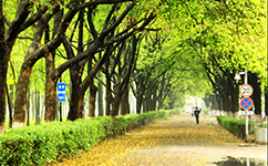 錦州醫(yī)科大學醫(yī)療學院 - 我的大學