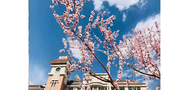 遼寧理工學院 - 最美大學
