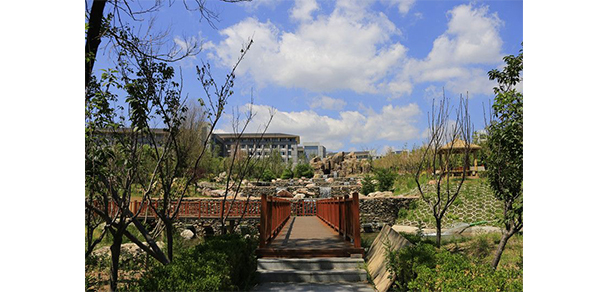 大連財經(jīng)學(xué)院