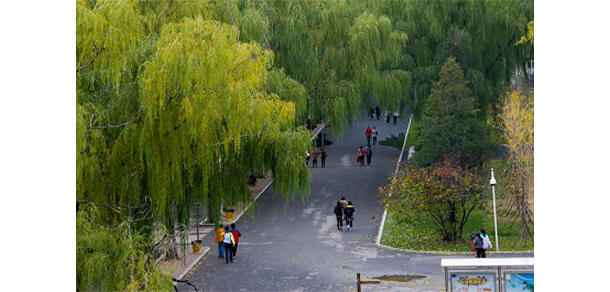 沈陽職業(yè)技術(shù)學院 - 最美大學