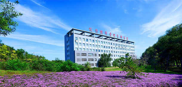 遼寧經(jīng)濟職業(yè)技術學院 - 最美院校