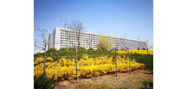 大連航運職業(yè)技術(shù)學院 - 最美院校