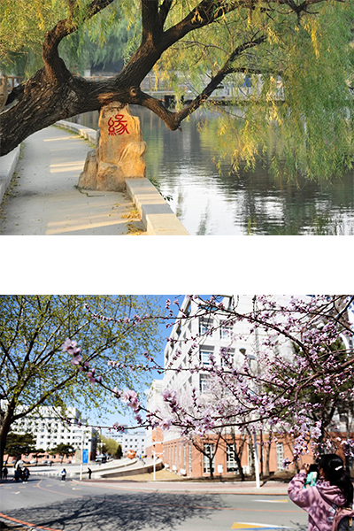 東北師范大學