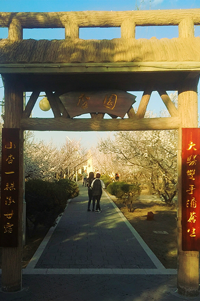 白城醫(yī)學(xué)高等?？茖W(xué)校