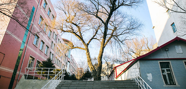 東北林業(yè)大學 - 最美大學