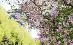 歷史沿革(概)校史